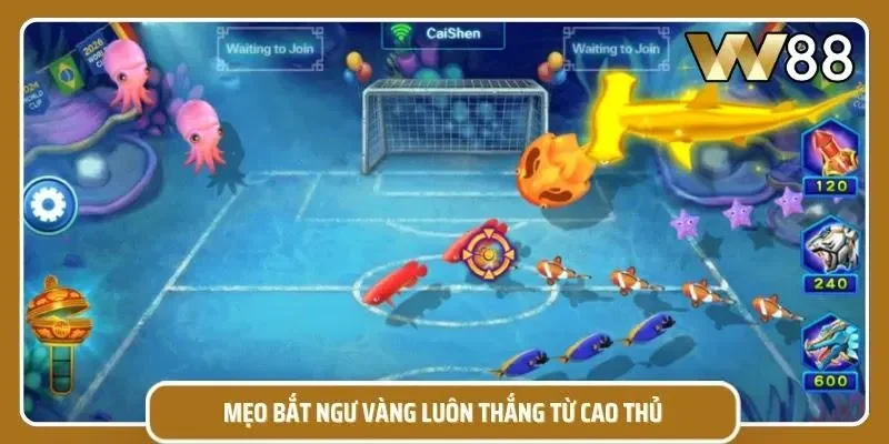 Kinh nghiệm đi săn dưới đại dương luôn giành chiến thắng