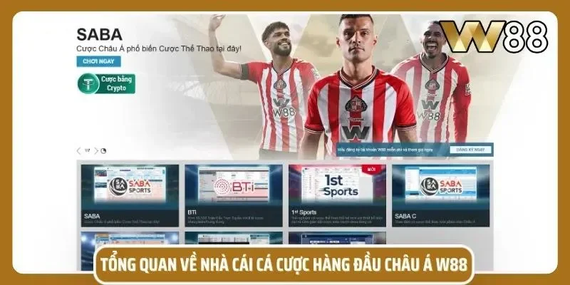 Khái quát những điểm nổi bật của nền tảng và dịch vụ