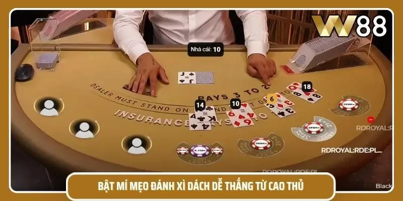 Một vài mẹo đánh blackjack hiệu quả mà bạn nên biết